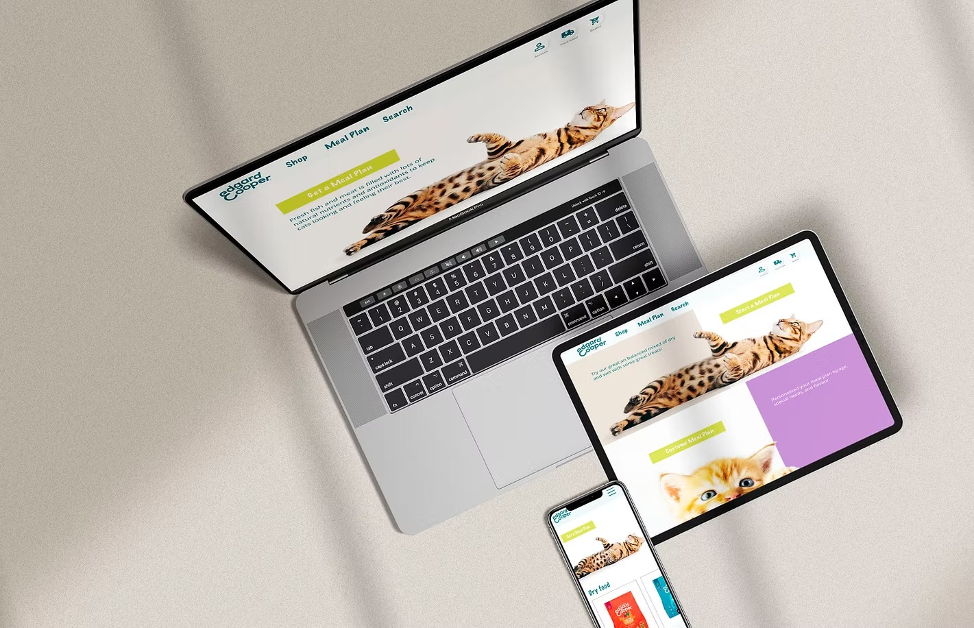 Cat food delivery tracking project preview